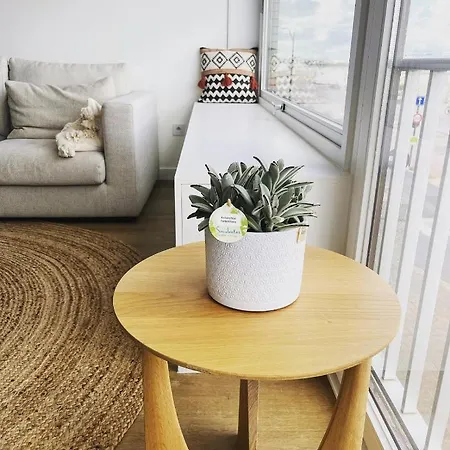 Seaview Heist: 3-bedroom Flat By The Appartement